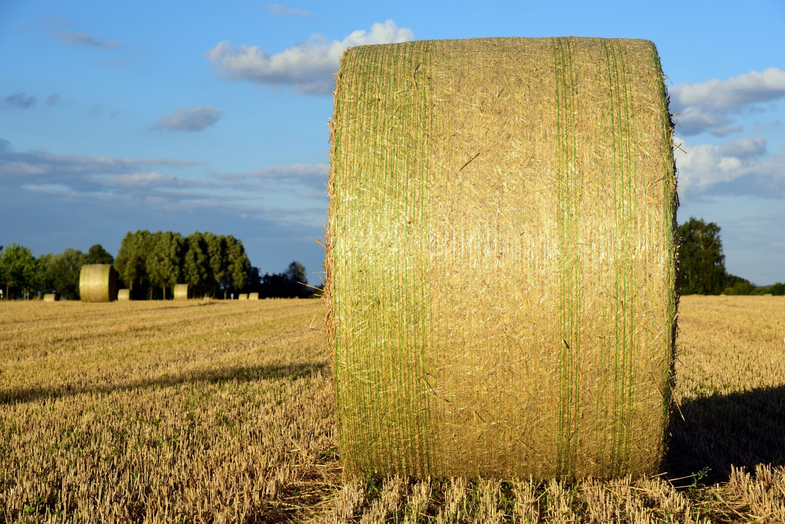 Nikon D750 sample photo. Hay, hay bales, agriculture photography