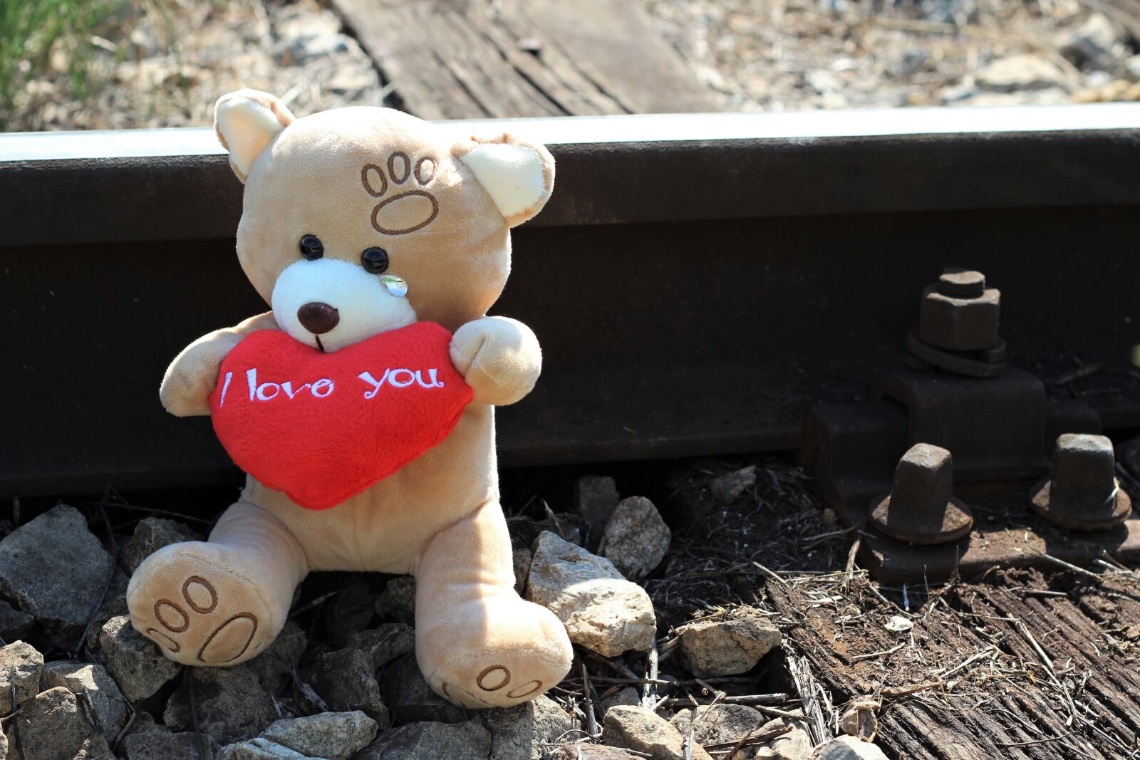 Canon EOS 600D (Rebel EOS T3i / EOS Kiss X5) + Canon EF 50mm F1.8 II sample photo. Teddy bear crying, stop photography