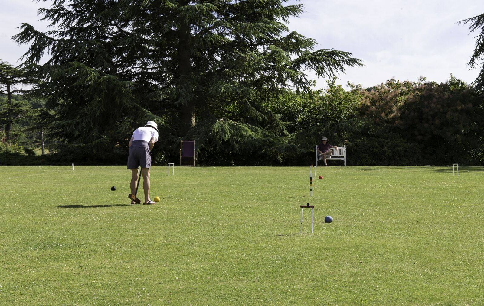 Canon EOS-1D X + Canon EF 24-70mm F2.8L USM sample photo. Croquet, player, lawn photography