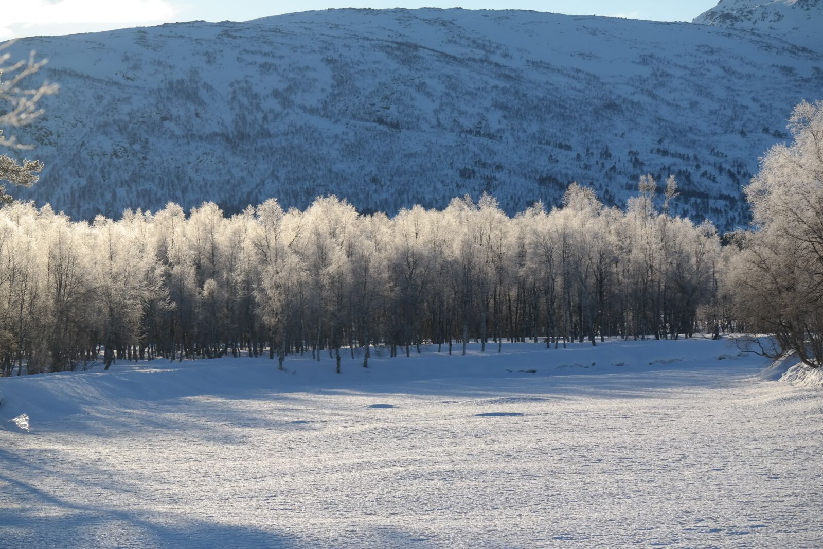 Samsung NX300 sample photo. Sun, winter, mountain photography