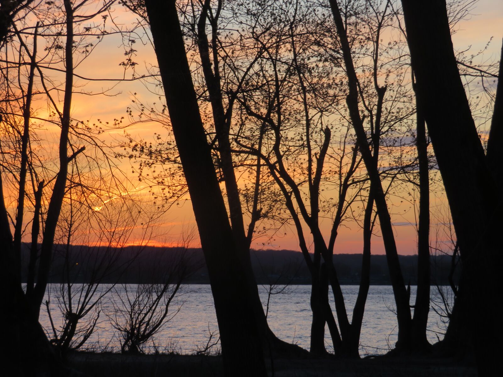 Canon PowerShot SX720 HS sample photo. Sunset, trees, river photography