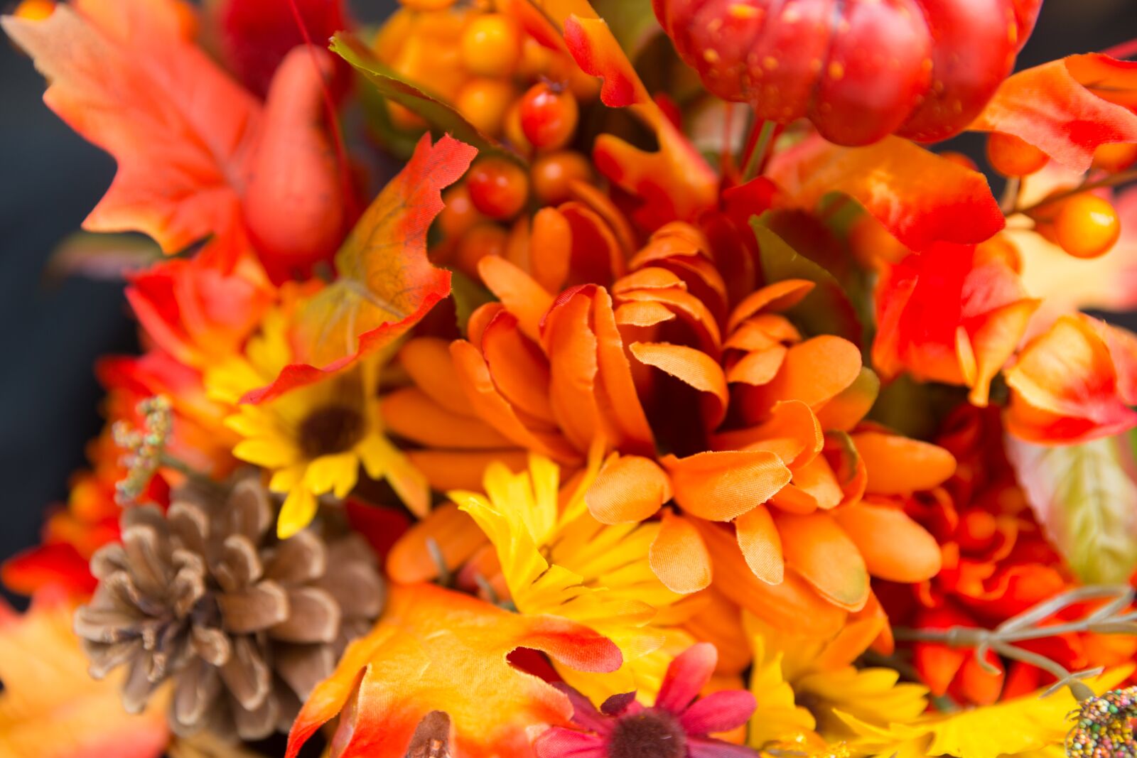 Canon EOS-1D X + Canon EF 24-70mm F2.8L II USM sample photo. Fall flowers, thanksgiving flowers photography