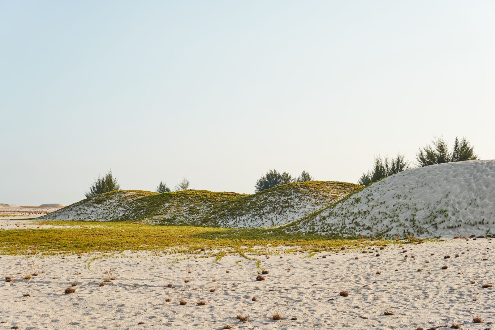 30mm F1.4 DC DN | Contemporary 016 sample photo. Dunes, desert, sand photography