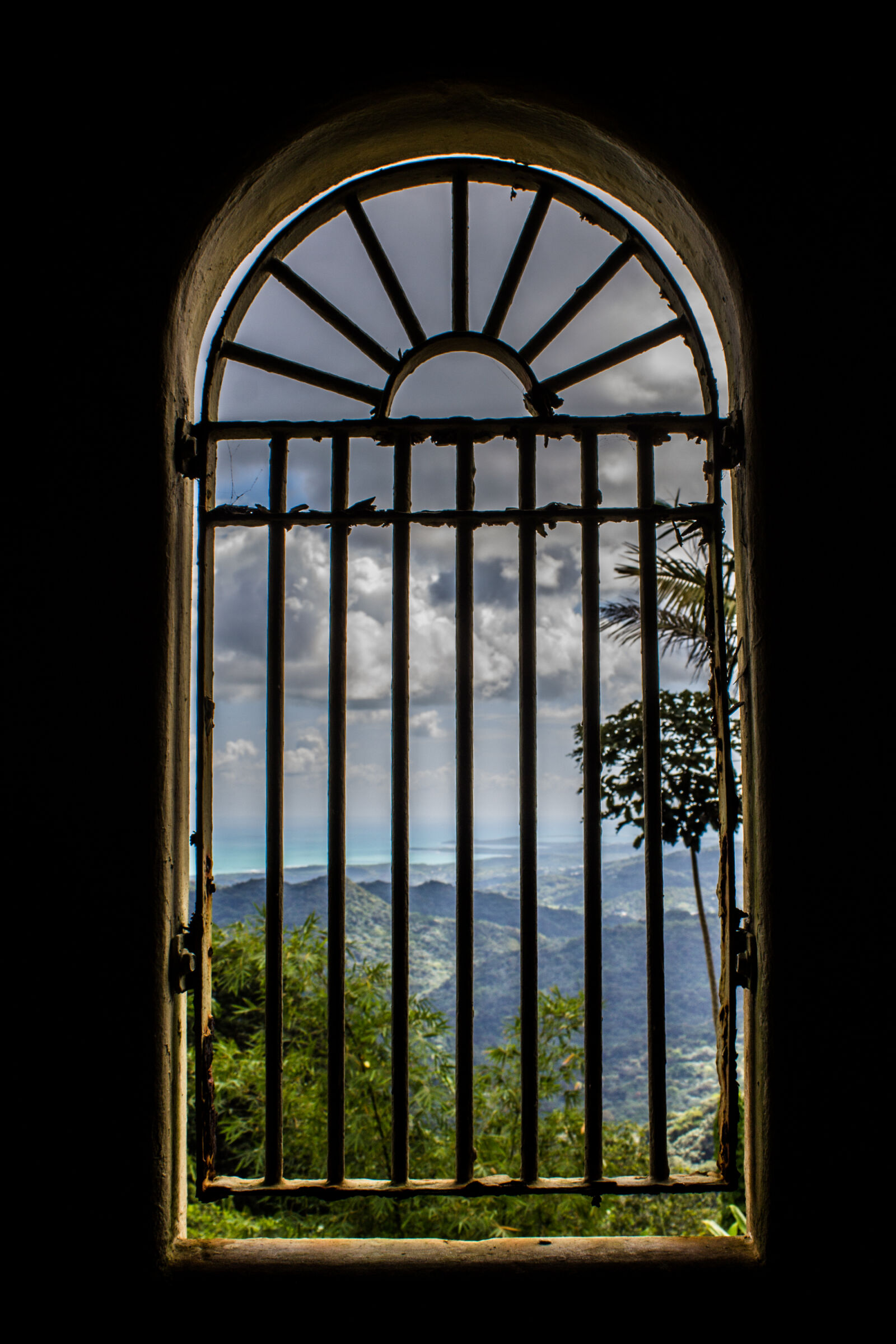 Canon EOS 600D (Rebel EOS T3i / EOS Kiss X5) sample photo. Arched, window, rain, forest photography