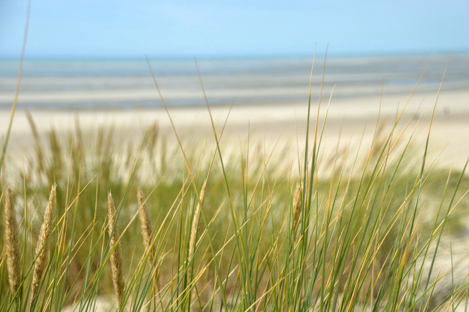 Nikon D3200 sample photo. Sea, beach, hauts de photography