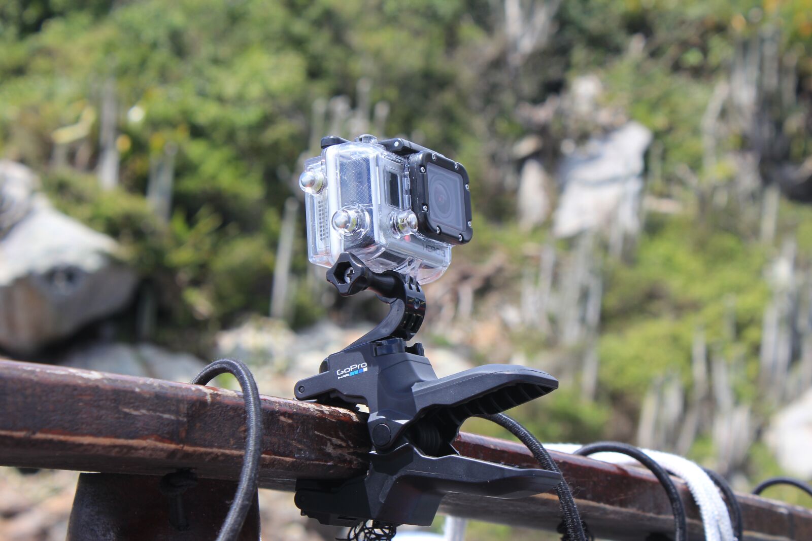 Canon EOS 550D (EOS Rebel T2i / EOS Kiss X4) sample photo. Nature, wood, outdoors photography