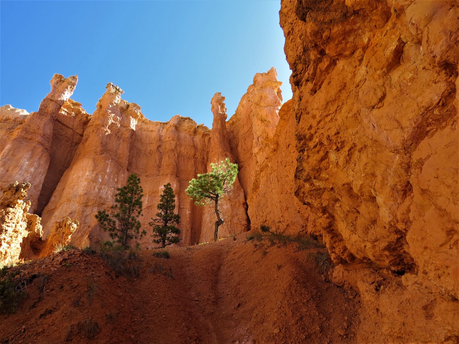 Canon PowerShot SX50 HS sample photo. Bryce canyon, utah, hiking photography