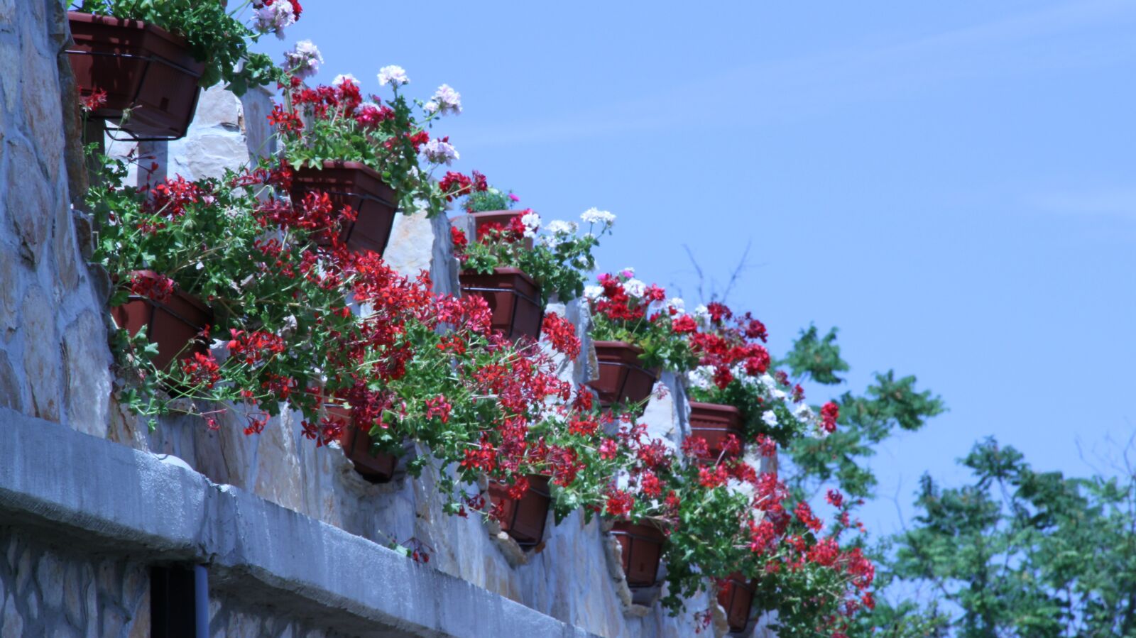 Canon EOS 60D sample photo. Nature, catholic, color photography