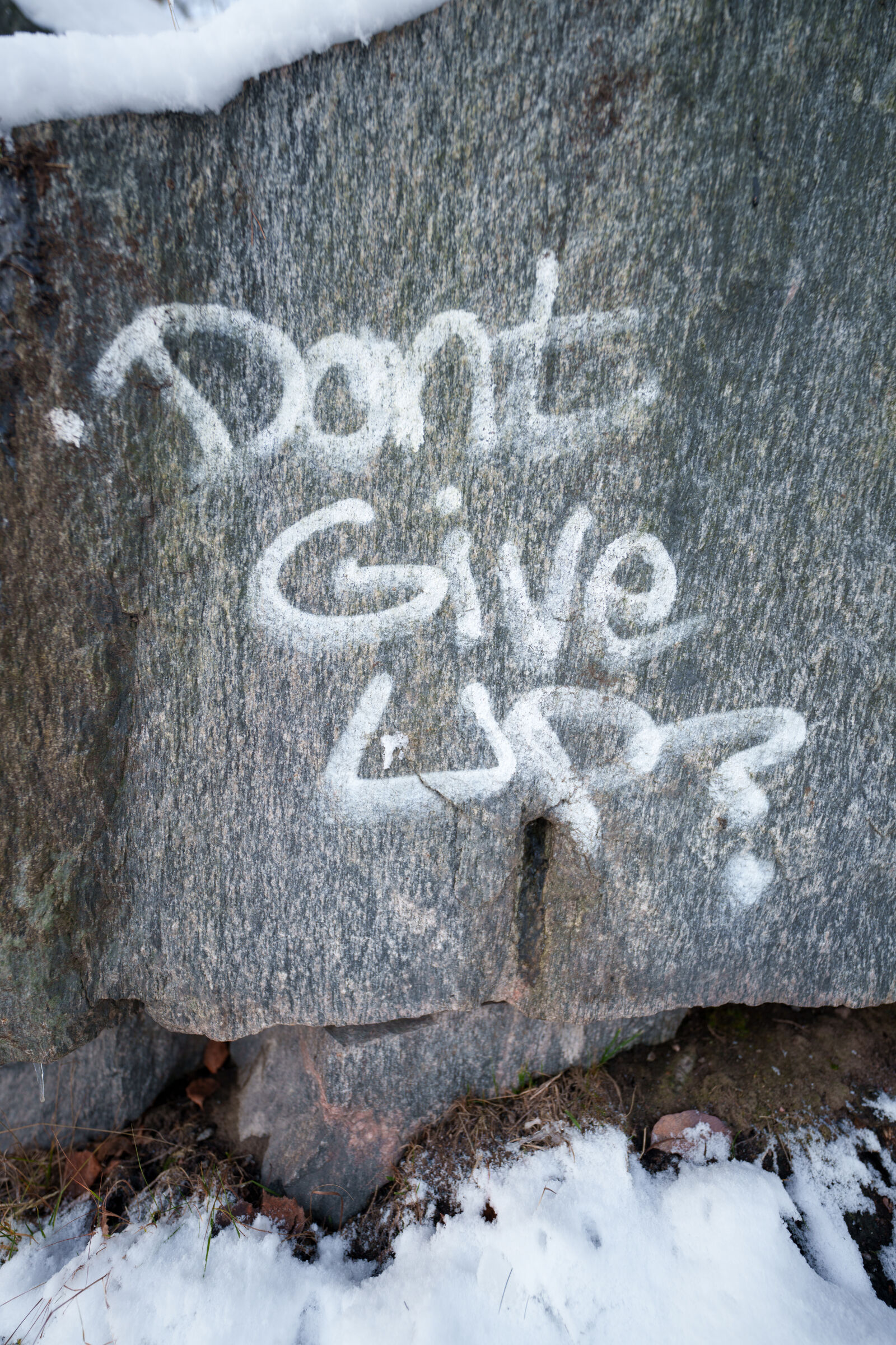 Sigma 14mm F1.4 DG DN sample photo. Don't give up? photography