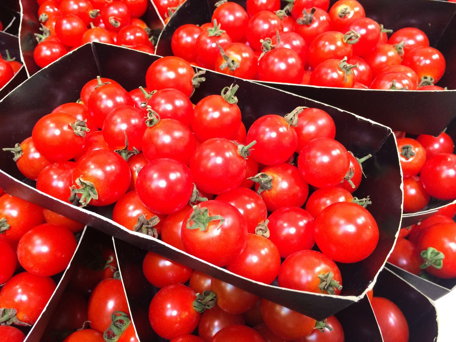 iPhone 5s back camera 4.15mm f/2.2 sample photo. Mini tomato, orange, red photography