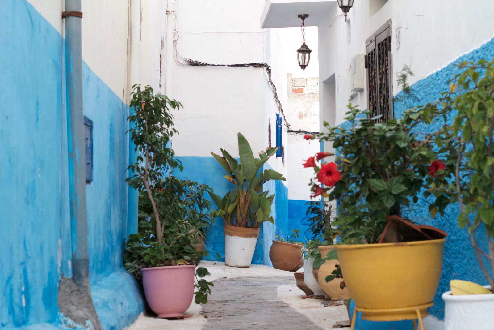 Canon EOS 550D (EOS Rebel T2i / EOS Kiss X4) sample photo. Morocco, blue, village photography