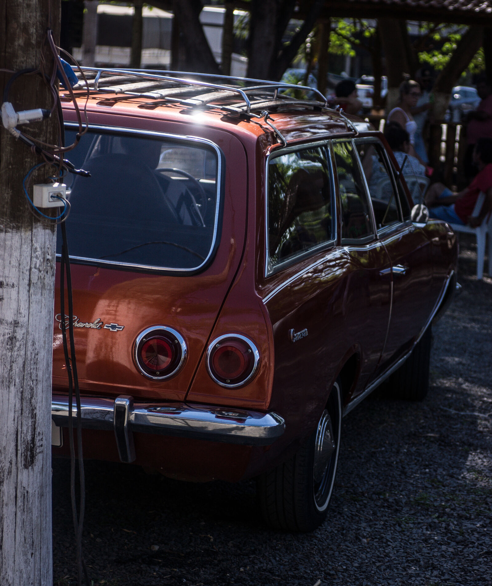 Sony SLT-A65 (SLT-A65V) sample photo
