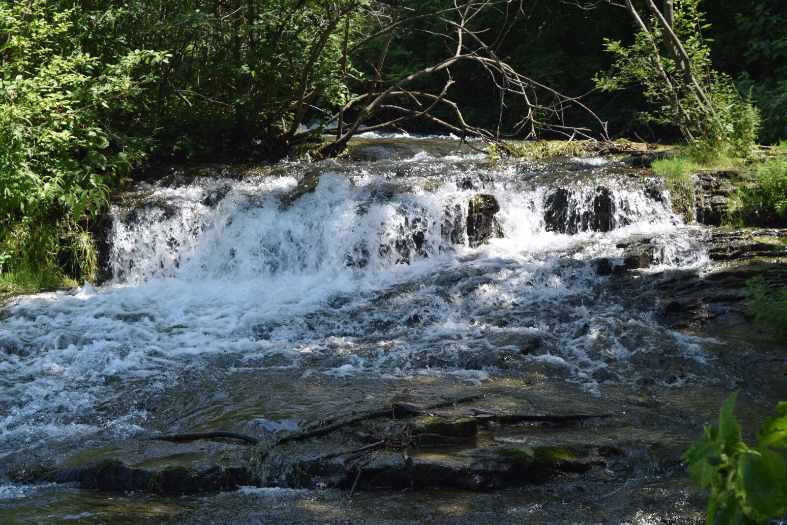 Nikon D3300 sample photo. River, falls, water photography
