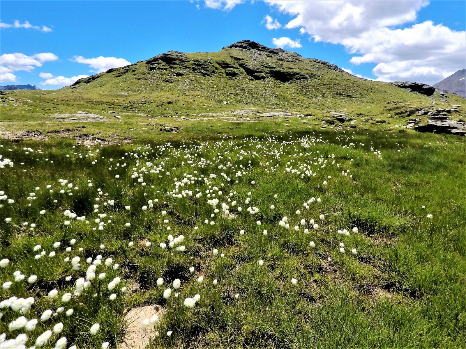 GoPro Hero5 Black sample photo. Nature, landscape, mountain photography