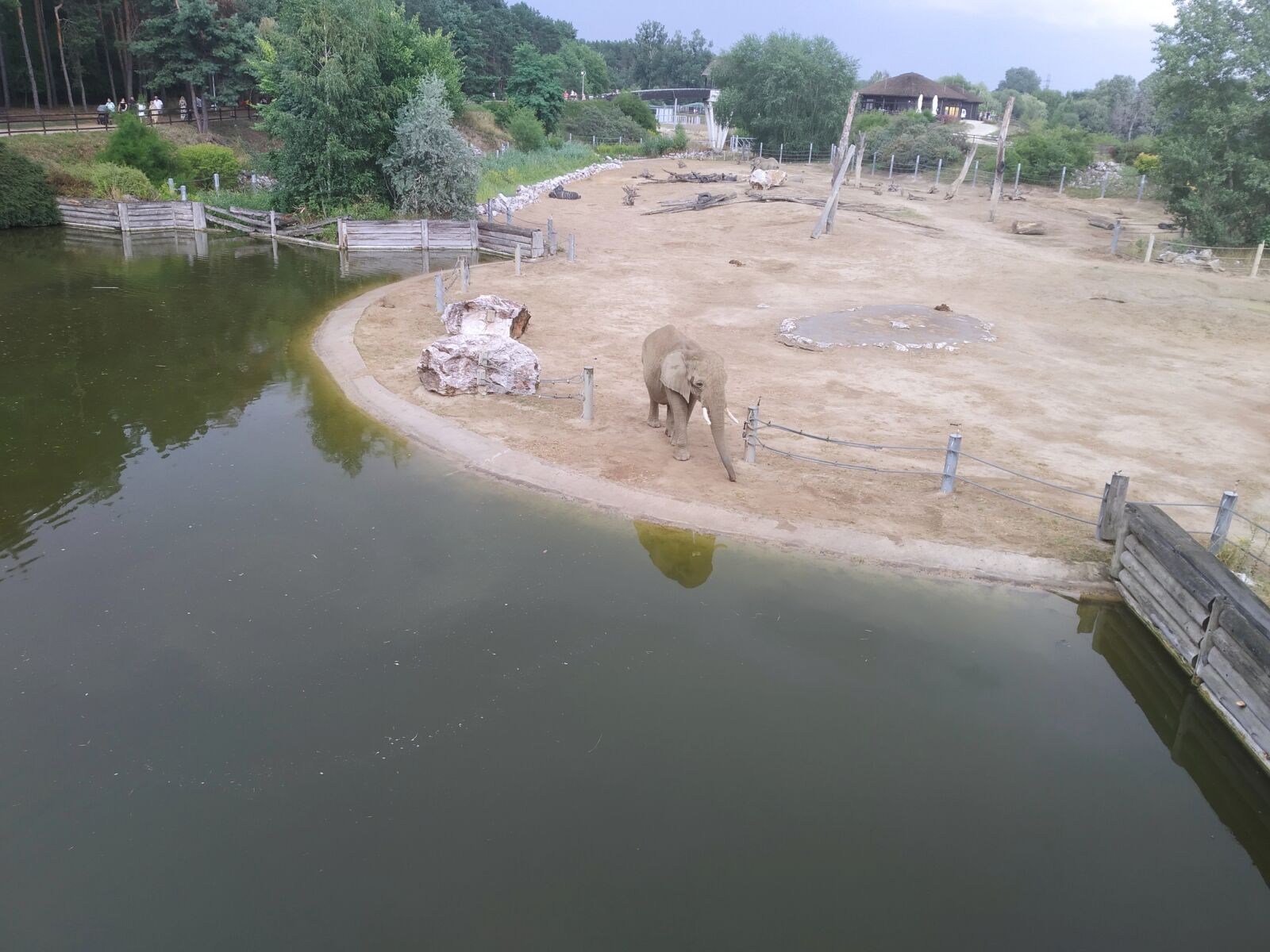 Xiaomi Redmi 7 sample photo. Elephant, small river, amusement photography