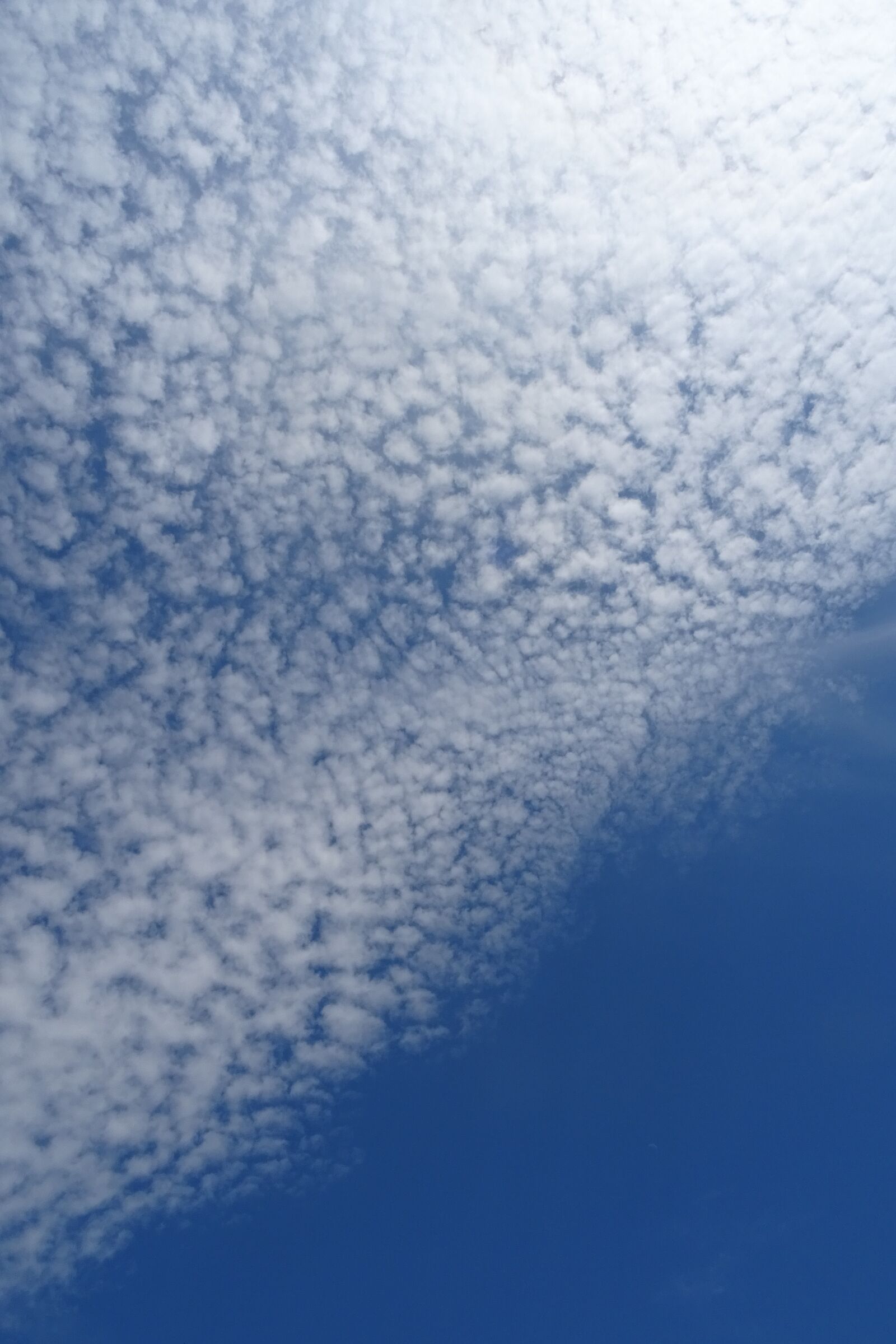 Sony DSC-HX60 sample photo. Sky, blu, clouds photography
