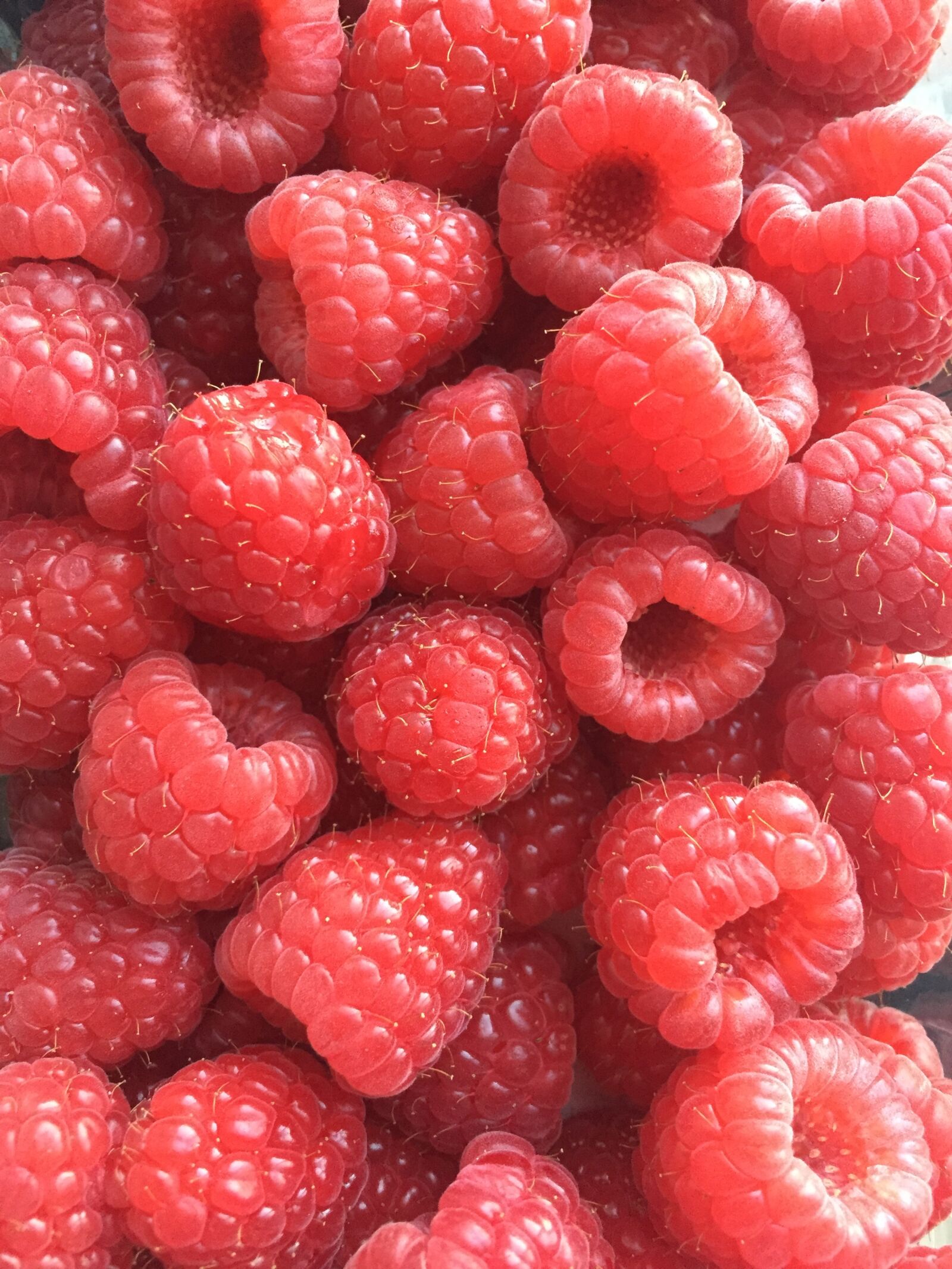 Apple iPhone 6 sample photo. Raspberries, berries, fresh photography