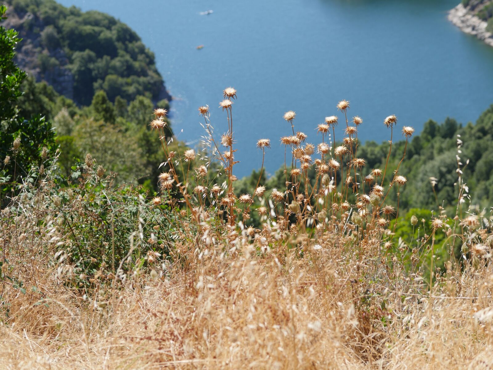 Panasonic Lumix DMC-GH4 sample photo. Scenery, landscape, natural photography
