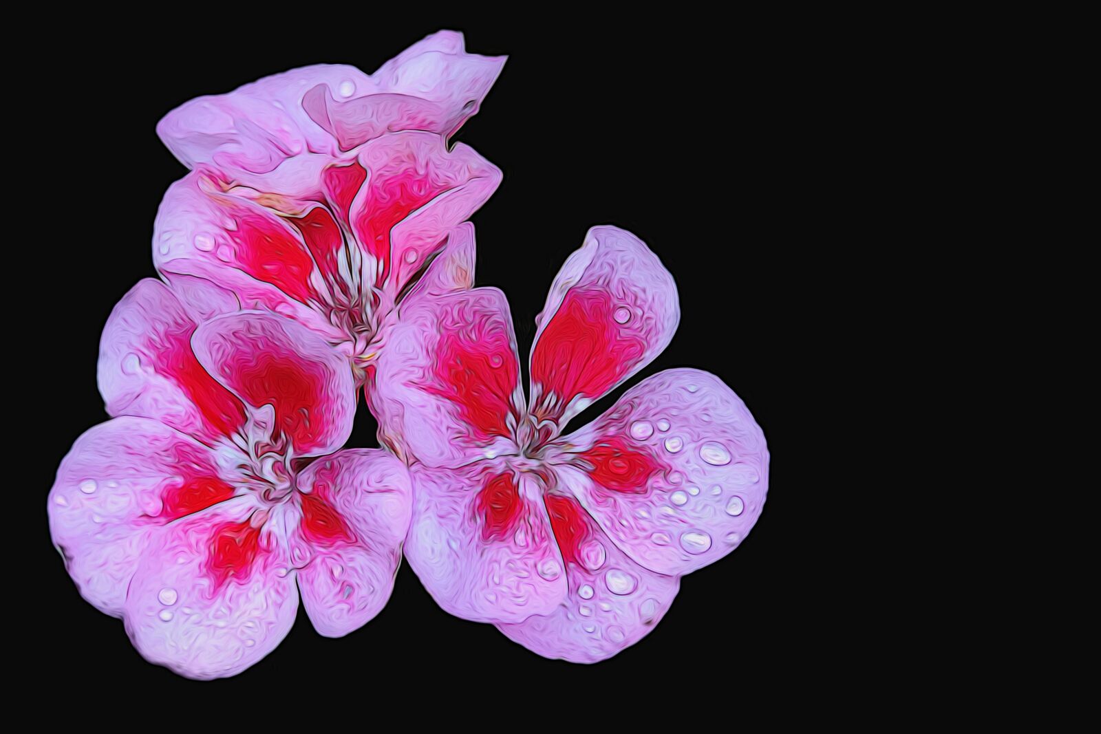 Nikon Coolpix P520 sample photo. Graphic, photo painting, blossom photography