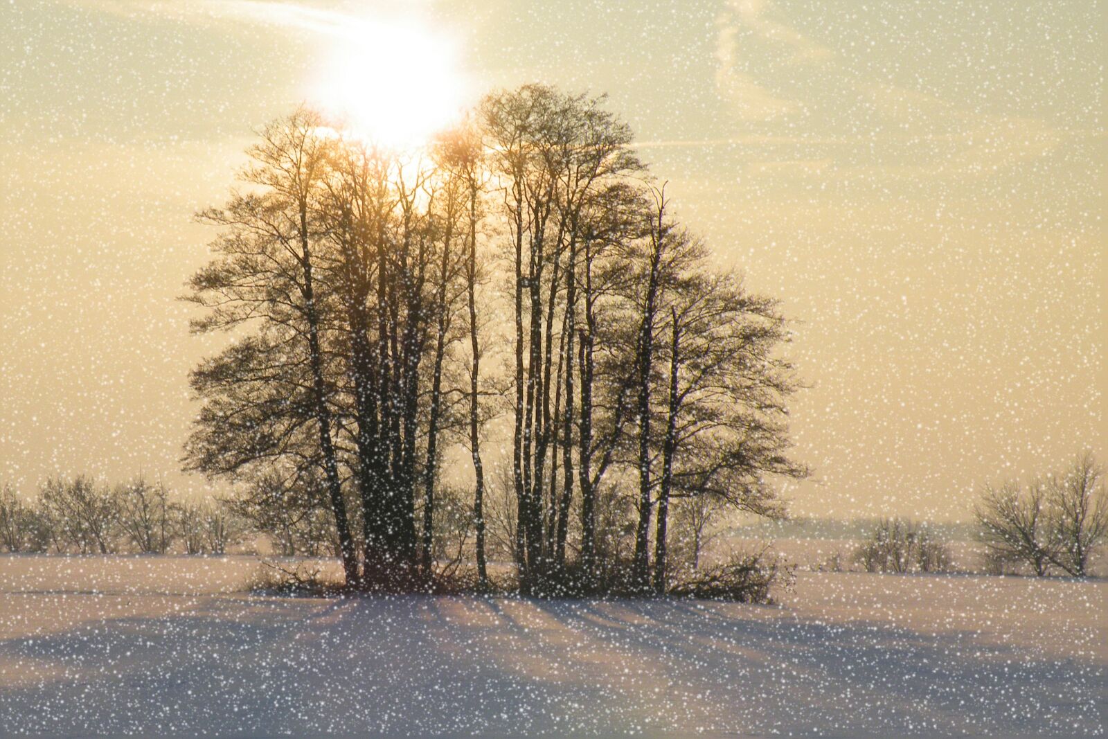 Fujifilm FinePix S8100fd sample photo. Winter impressions, wintry, snow photography