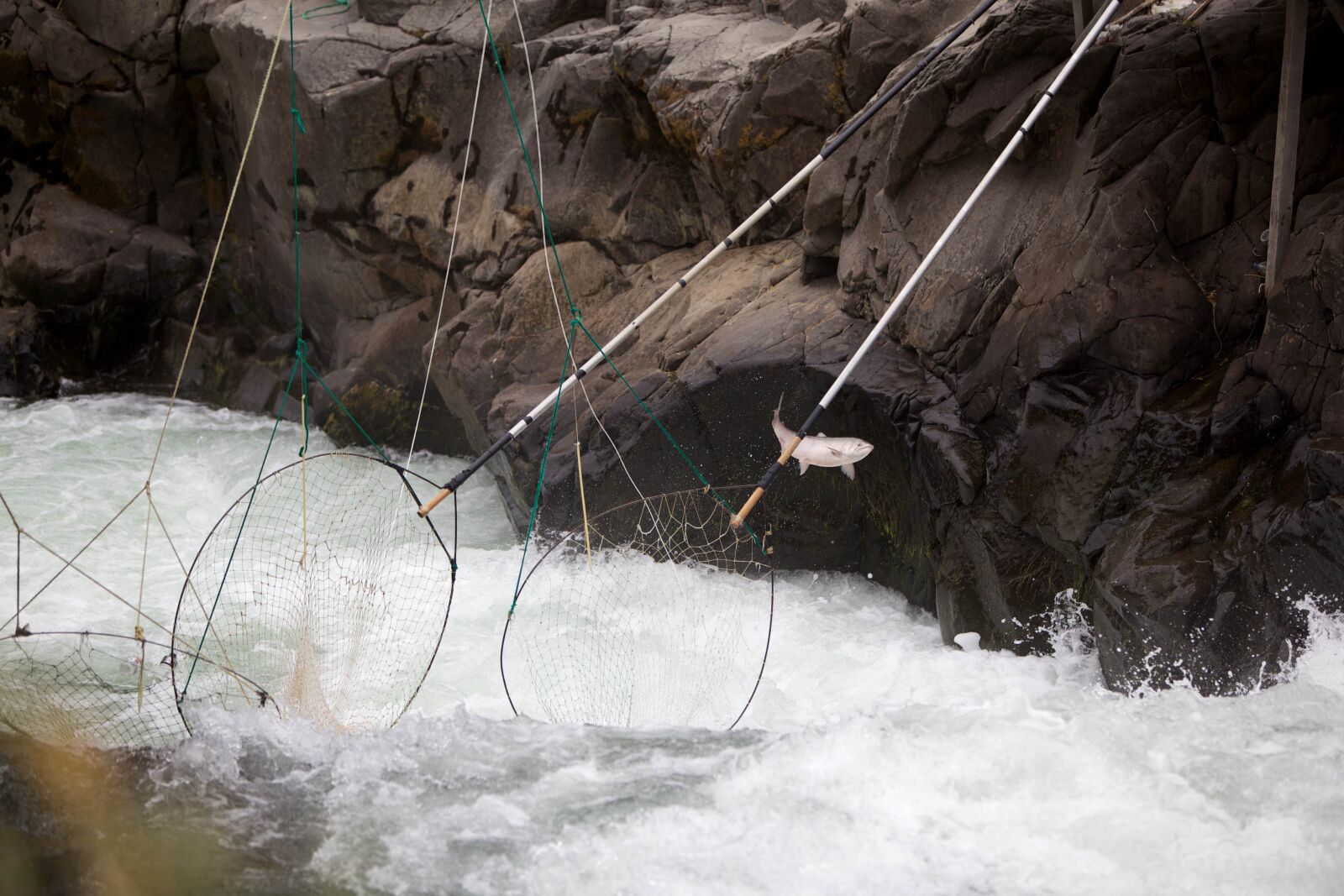 Canon EOS 5D Mark II sample photo. Fish, jump, escapes, traditional photography