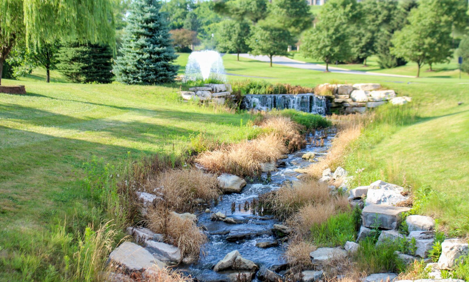 Canon EOS 700D (EOS Rebel T5i / EOS Kiss X7i) sample photo. Nature, creek, grass photography