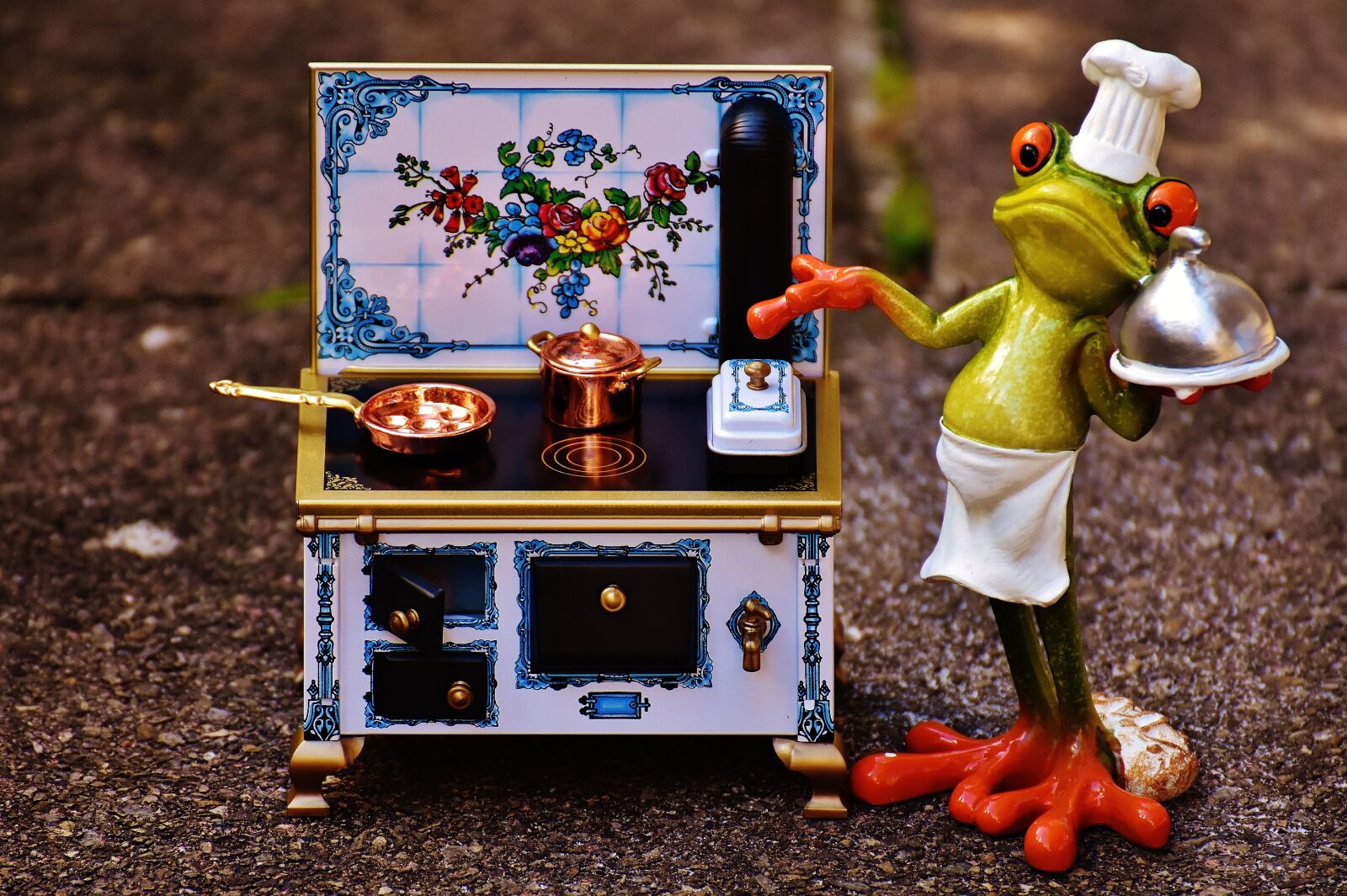 Nikon D7200 sample photo. Frog, cooking, stove photography