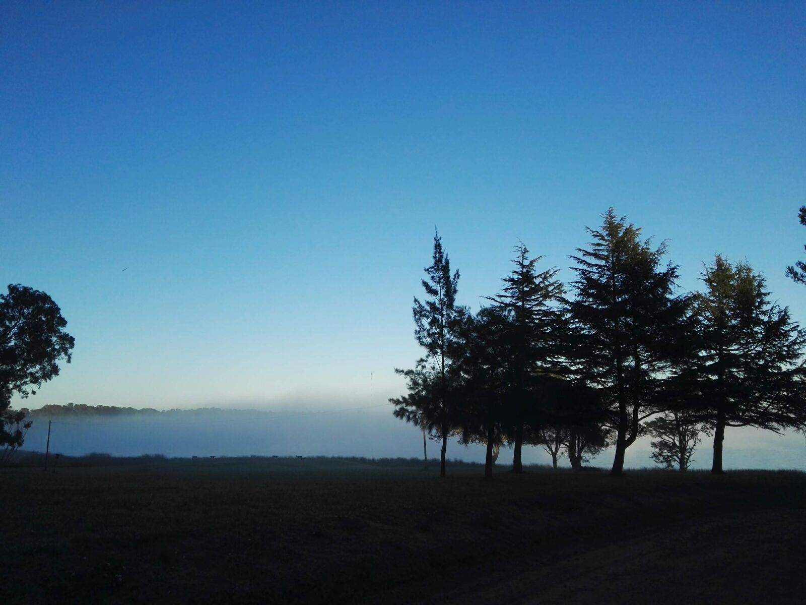 HUAWEI P8 sample photo. Landscape, field, fog photography