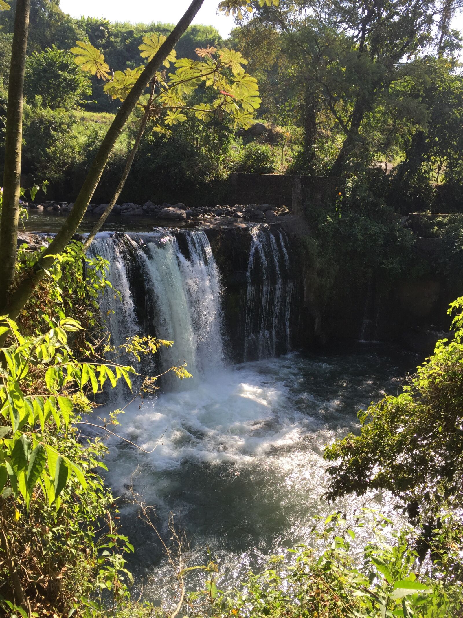 Apple iPhone 6 sample photo. Cute, relaxing, landscape photography