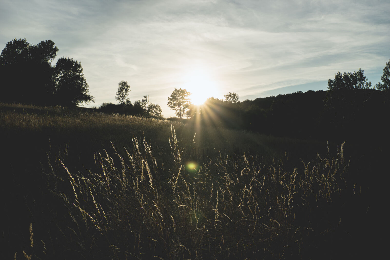 24-70mm F2.8-2.8 SSM sample photo. Backlit, clouds, forest, grass photography