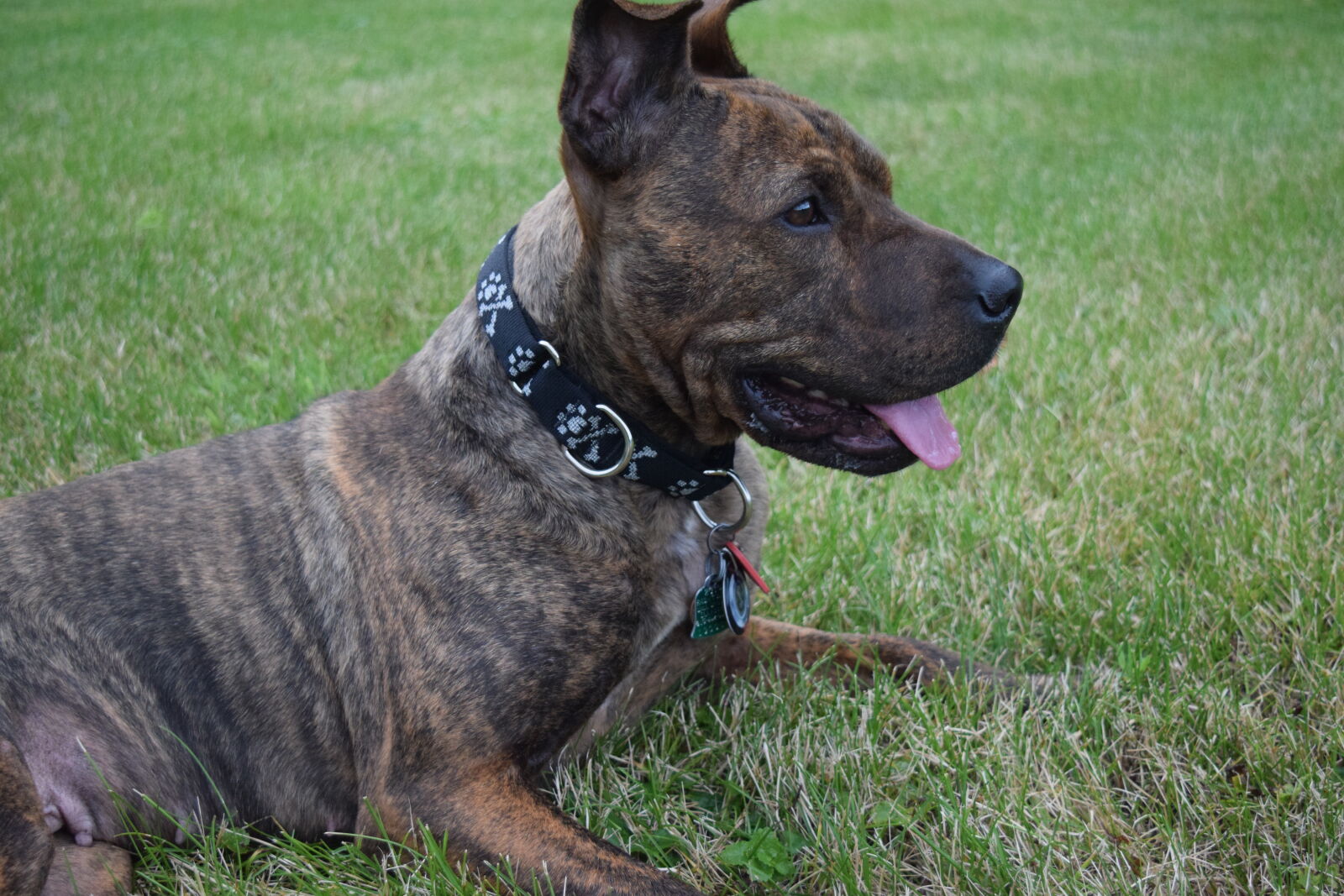 Nikon D3300 sample photo