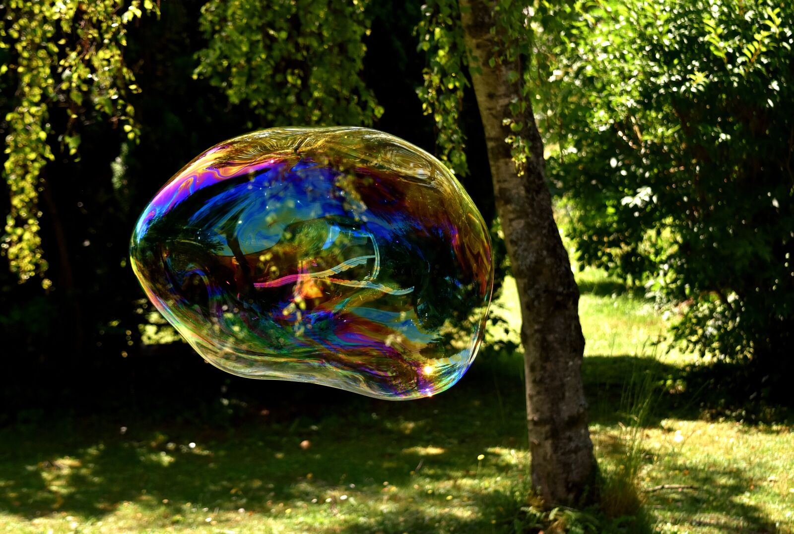 Nikon D7200 sample photo. Soap bubble, huge, large photography