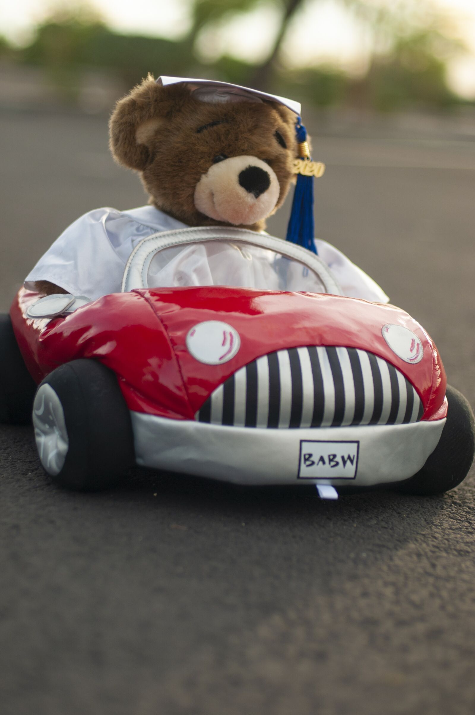 Nikon D300S sample photo. Teddy bear, graduate, cap photography