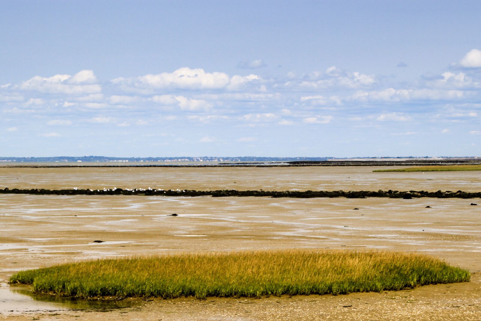 Canon TS-E 90mm F2.8 Tilt-Shift sample photo. Noirmoutier, fishing walking, the photography
