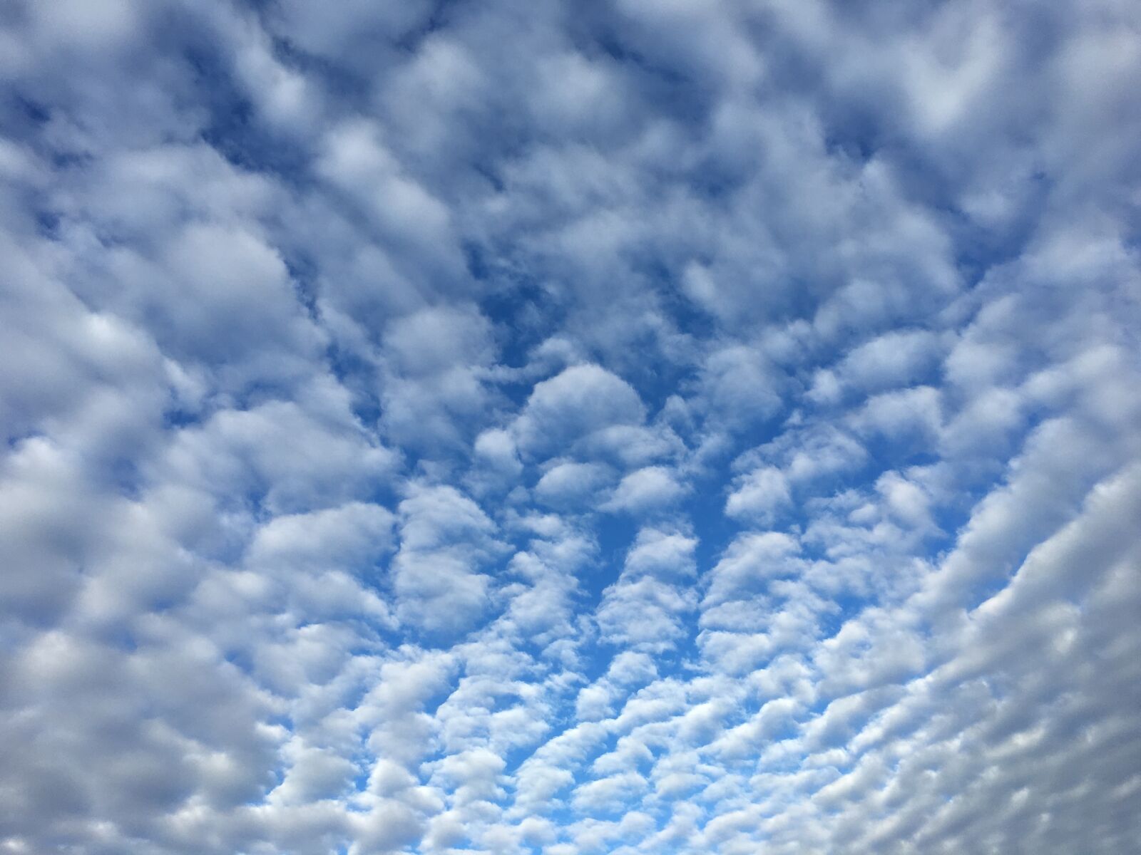 Apple iPhone 6s sample photo. Clouds, sky, background photography