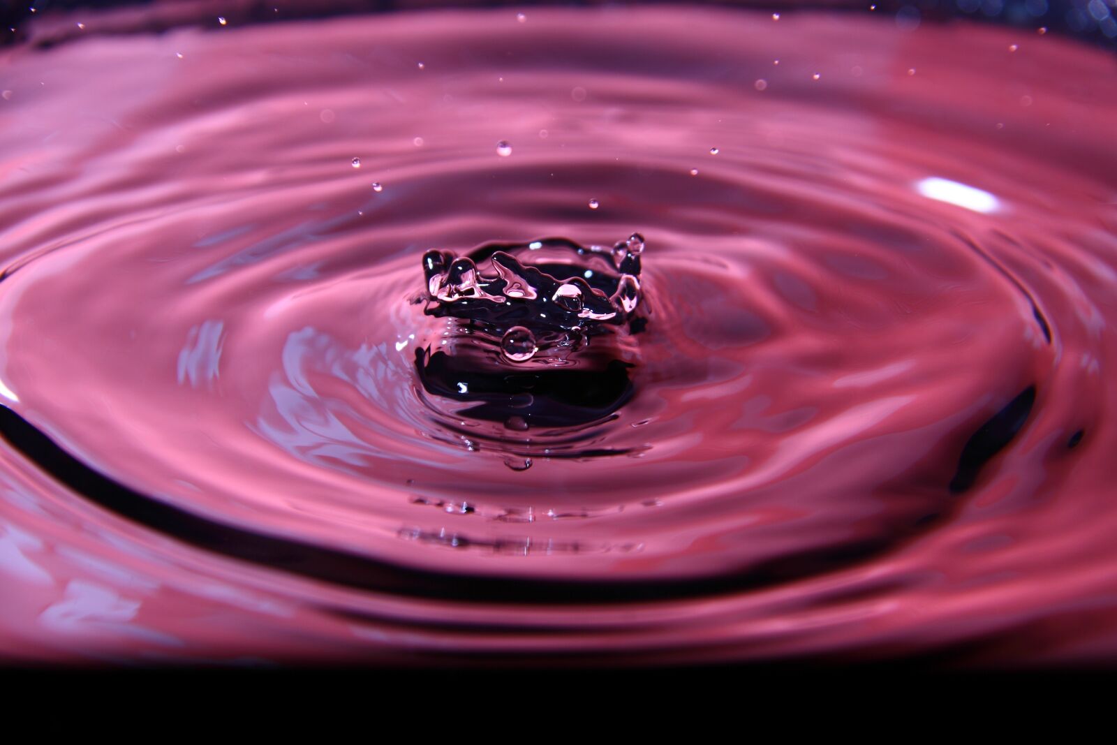Canon EOS 50D sample photo. Drop, motion, desktop photography