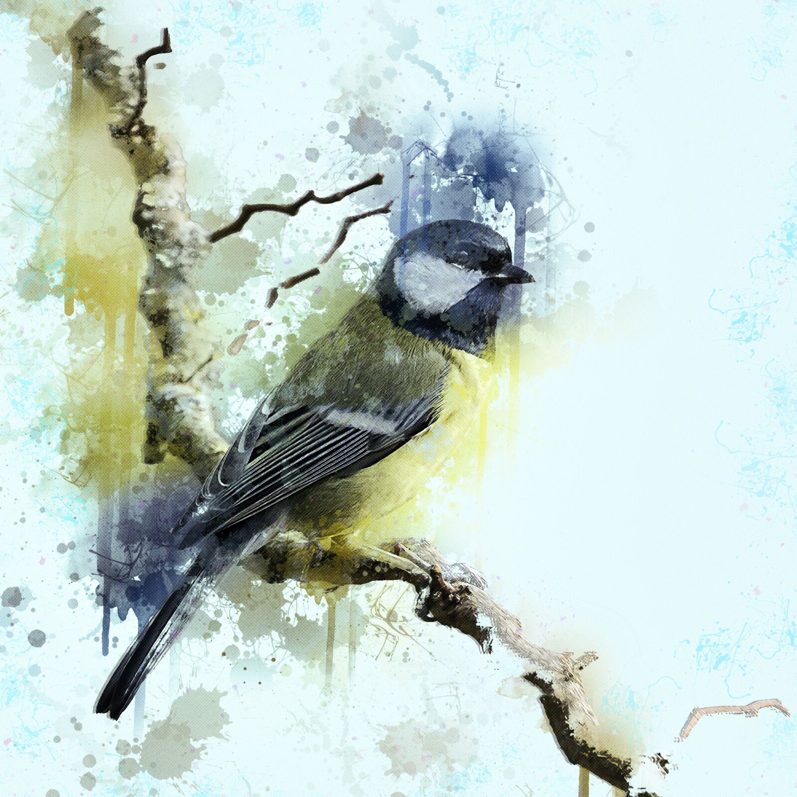 Canon EOS 5D Mark III sample photo. Great tit, tit, bird photography