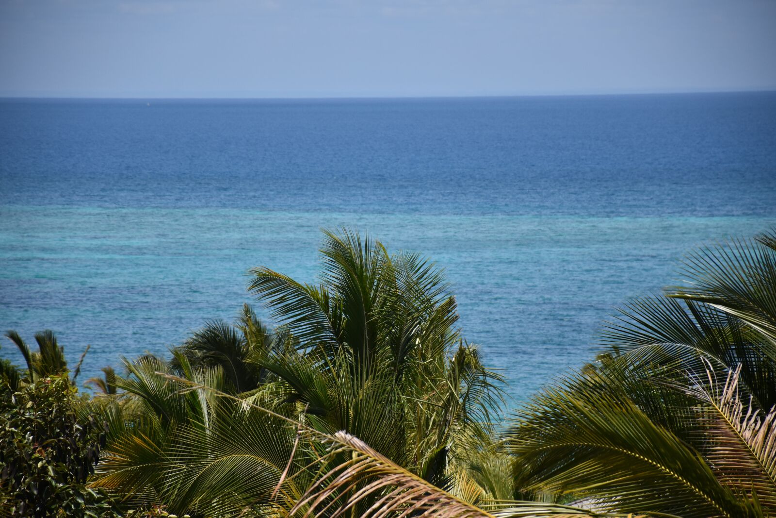 Nikon D5600 sample photo. Zanzibar, ocean, tropical photography