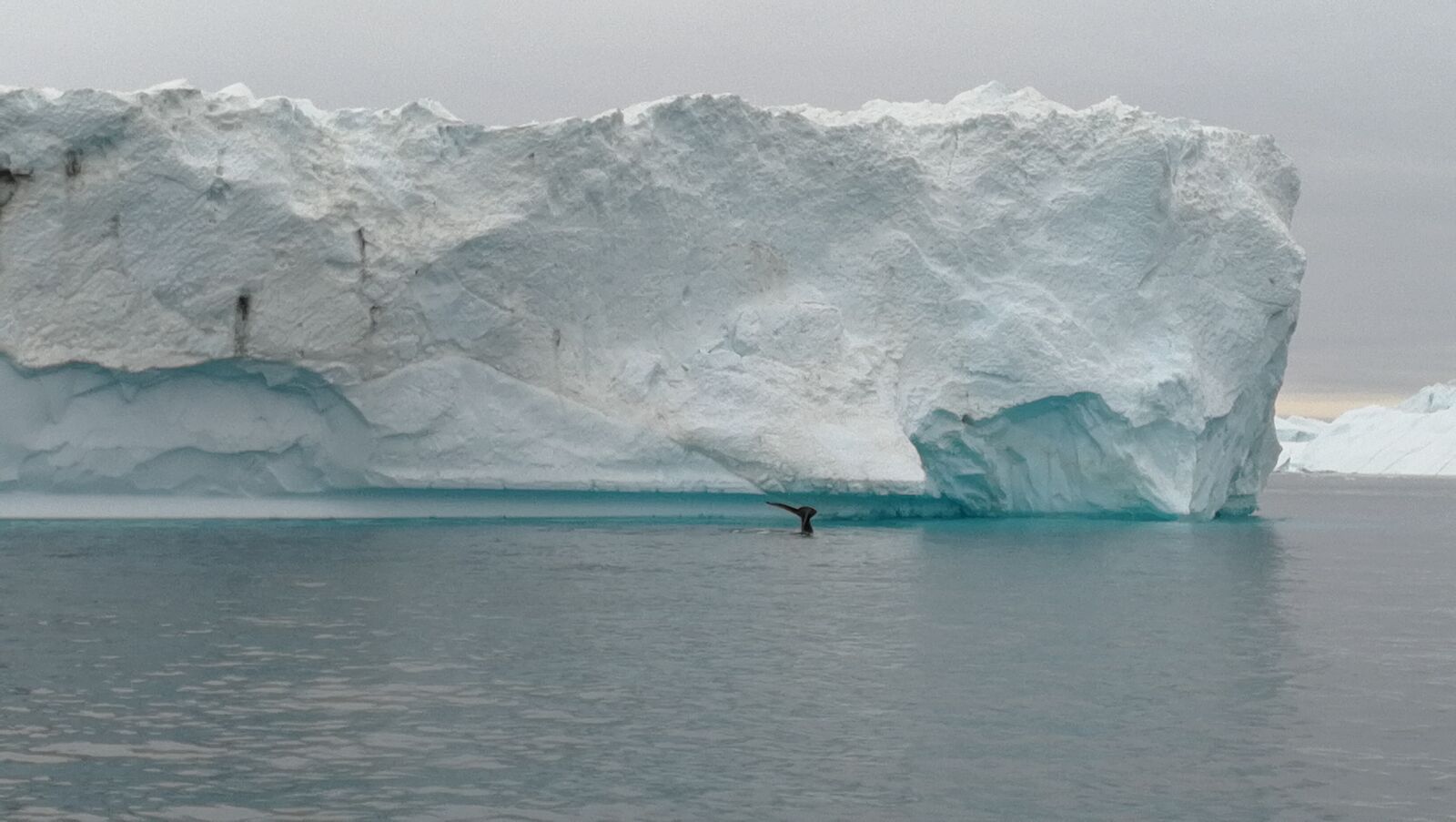 HUAWEI P10 sample photo. Greenland, iceberg, sea photography