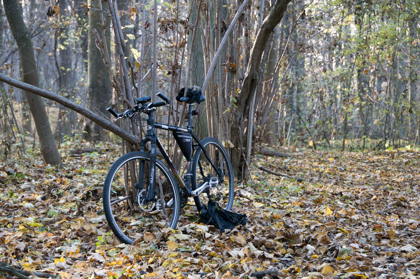 Nikon D300 sample photo. Bike, forest, tourism photography