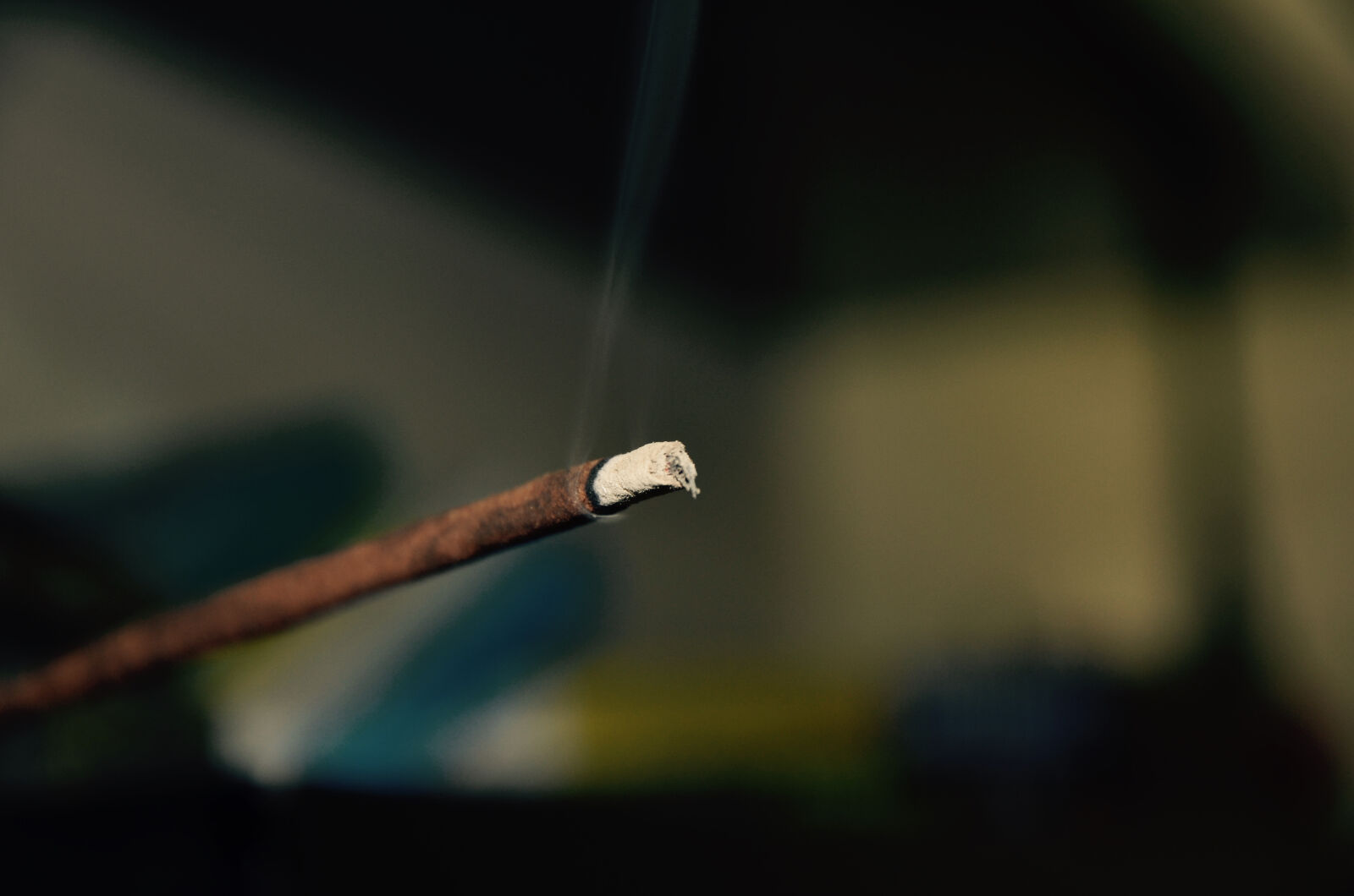 Nikon D7000 sample photo. Aromas, ash, beautiful, bright photography