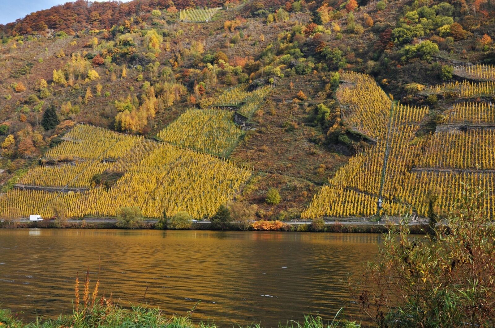Nikon D90 sample photo. Boxer shorts, mosel, vineyards photography