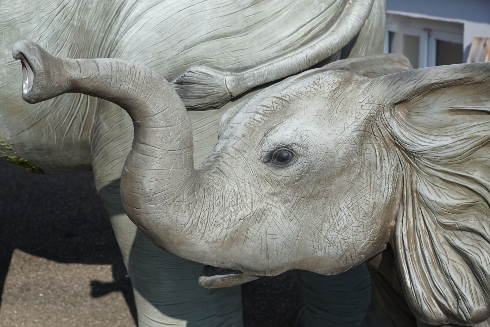 Sony DT 16-50mm F2.8 SSM sample photo. Elephant, china, summer photography