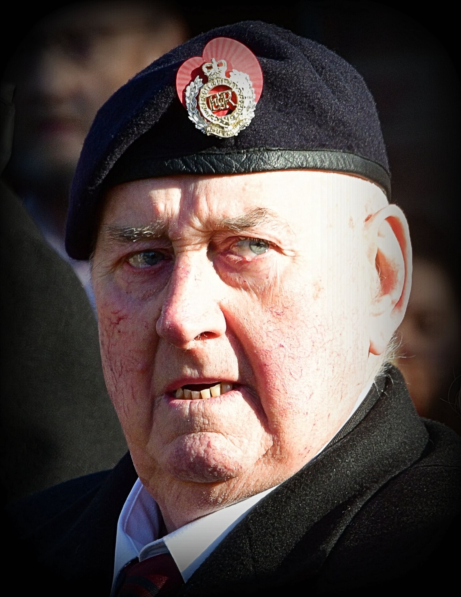 Nikon D850 sample photo. Remembrance day, veteran's day photography