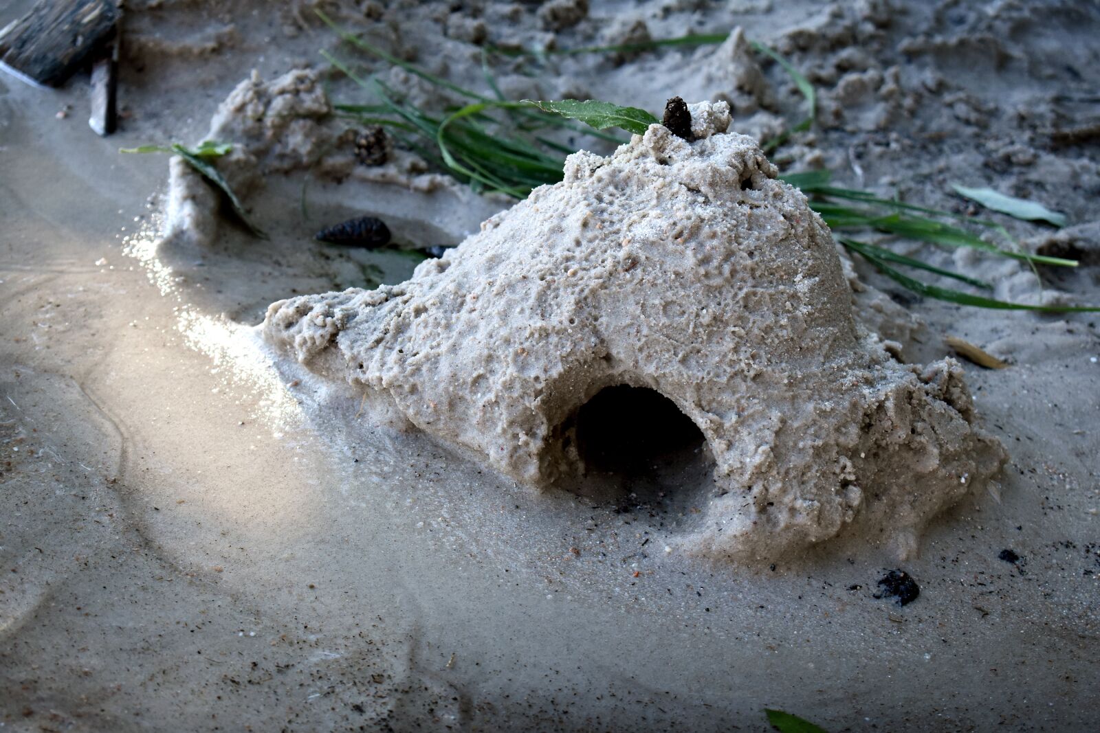 Nikon D3400 sample photo. Sand, wave, beach photography