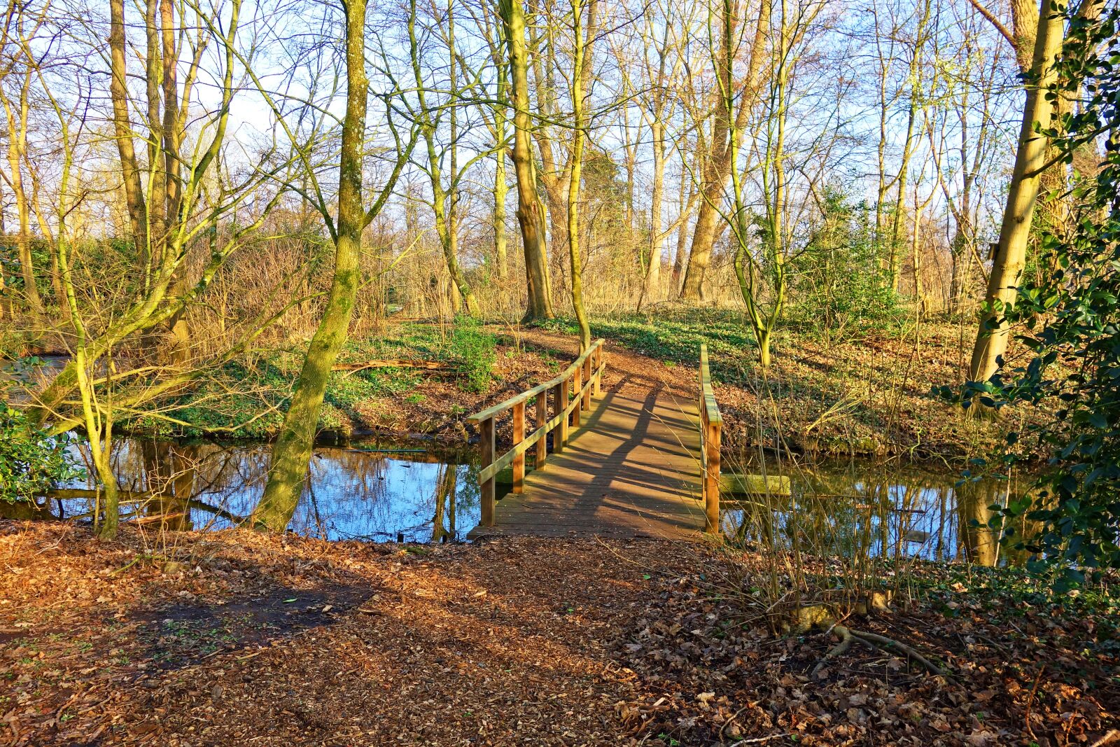 Sony Cyber-shot DSC-RX100 sample photo. Bridge, creek, path photography