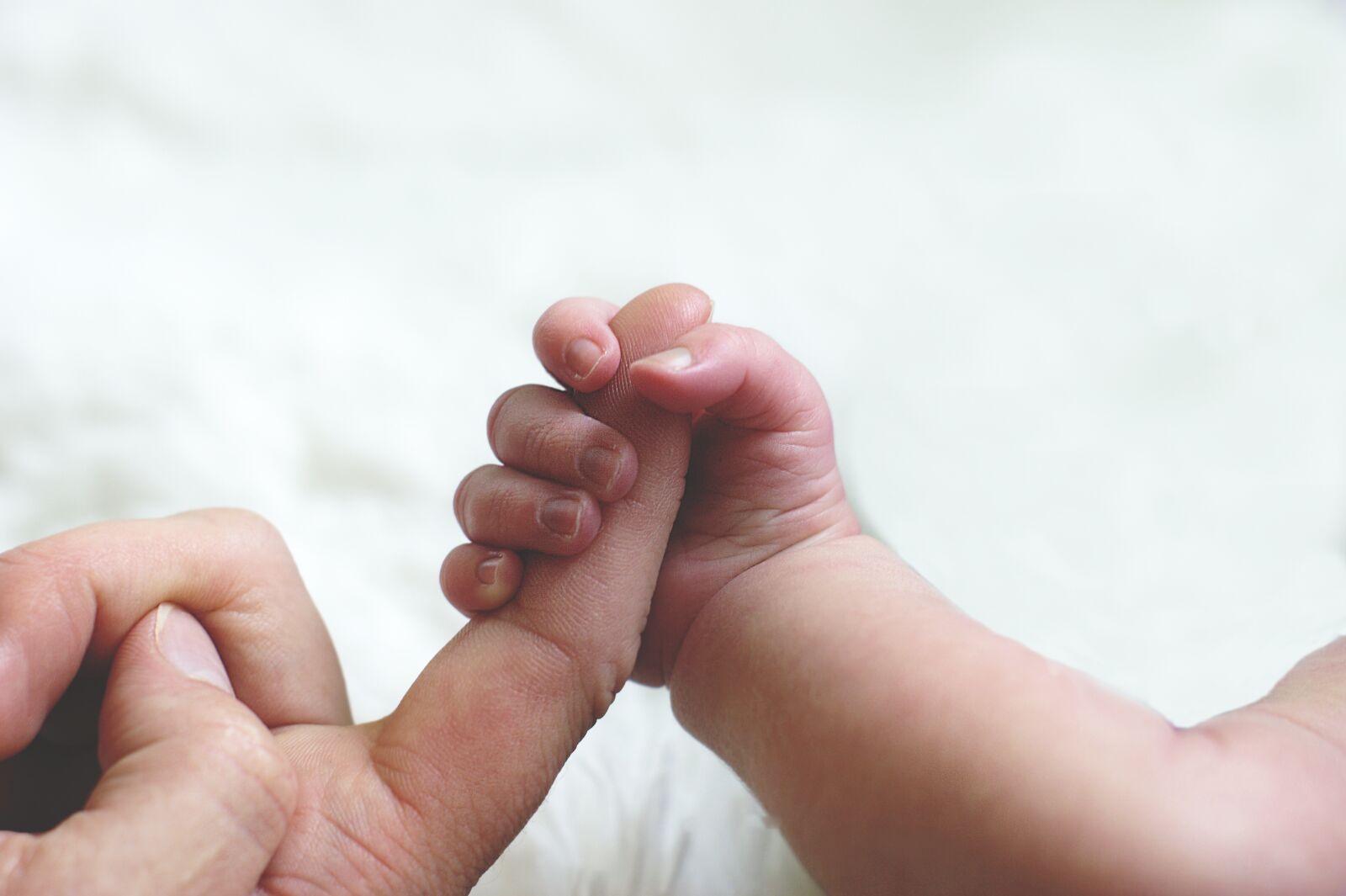 Sony Alpha DSLR-A380 sample photo. Trust, care for, hand photography