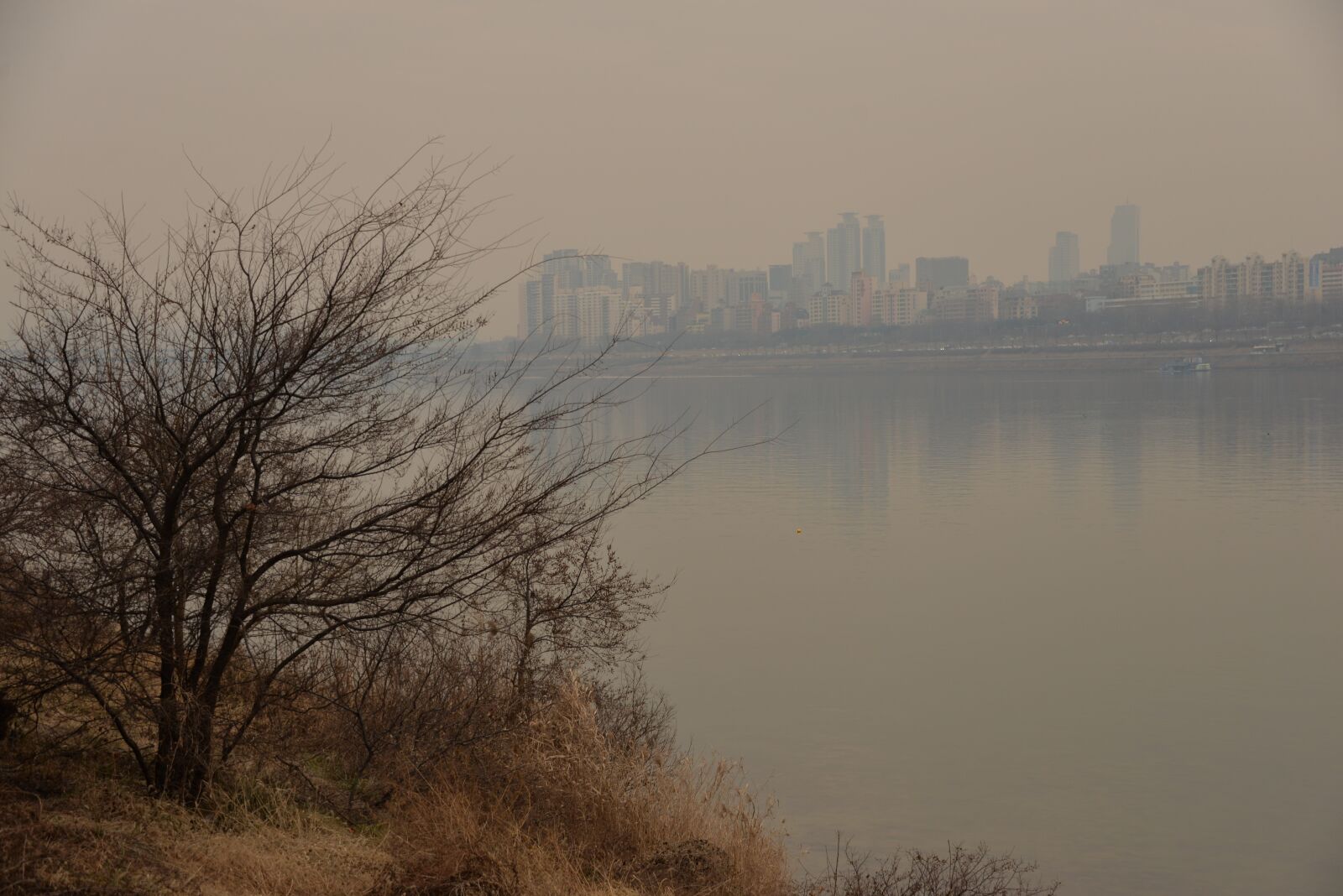 Nikon D610 sample photo. Wood, by the river photography