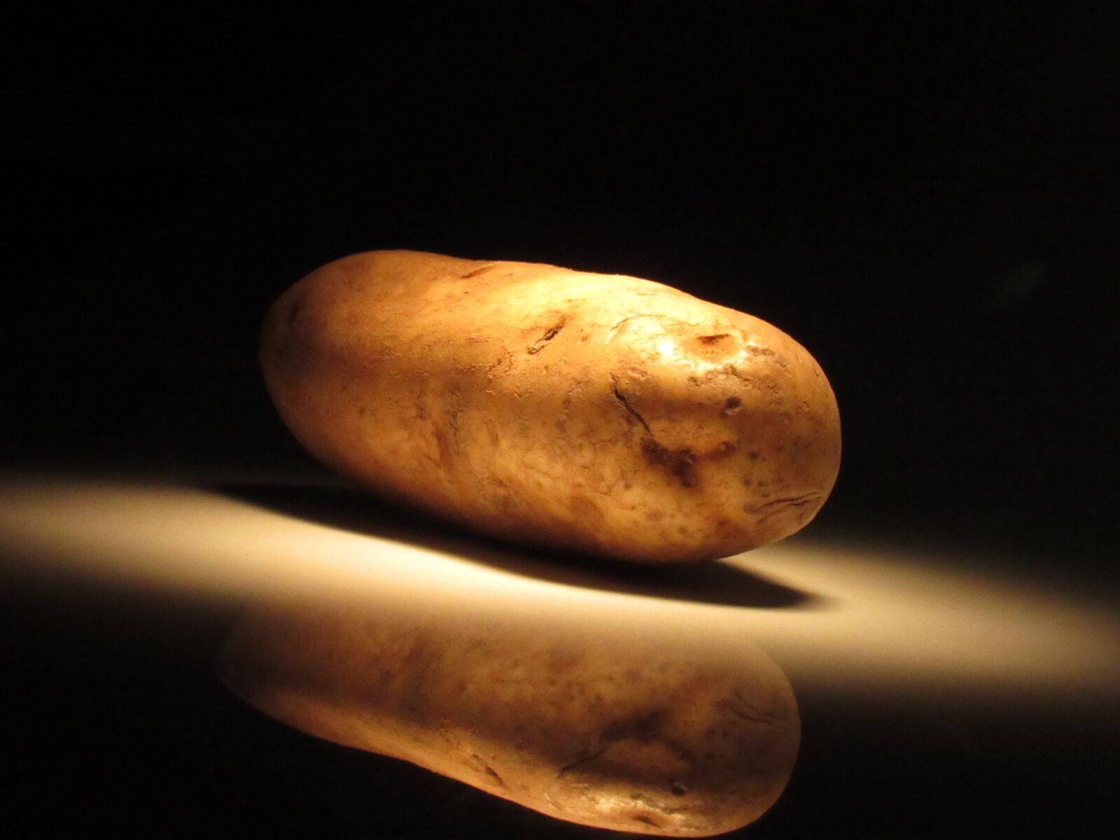 Canon PowerShot SX530 HS sample photo. Food, desktop, nature photography