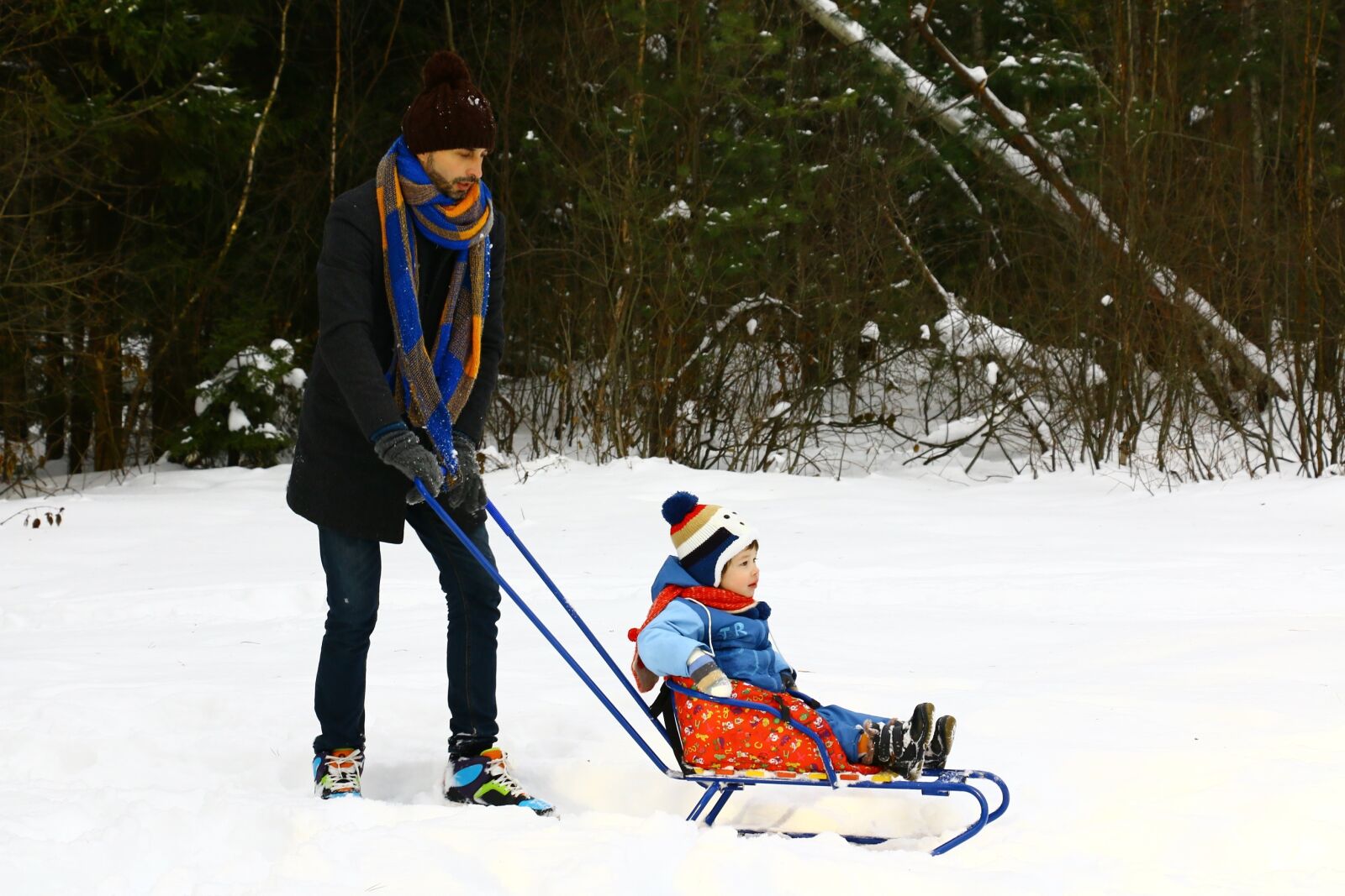Canon EOS 70D sample photo. Dad, sled, baby photography